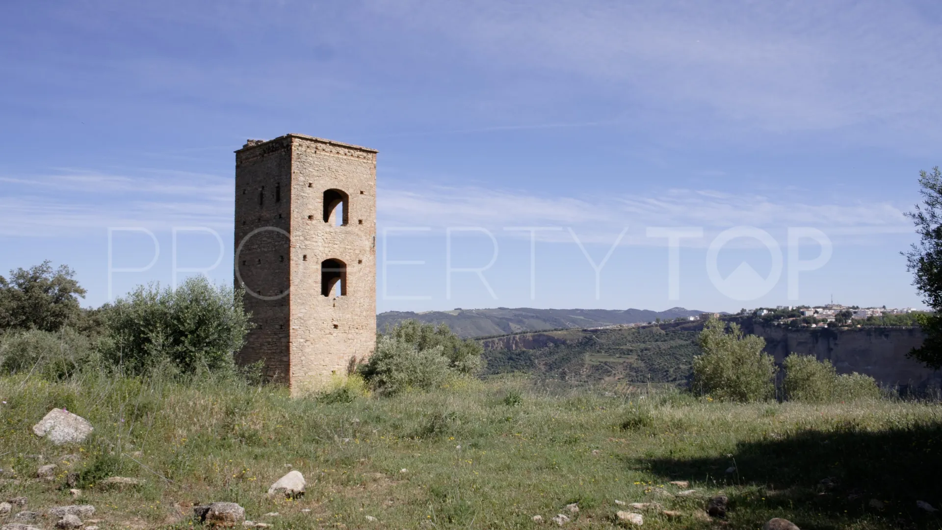 For sale Ronda finca