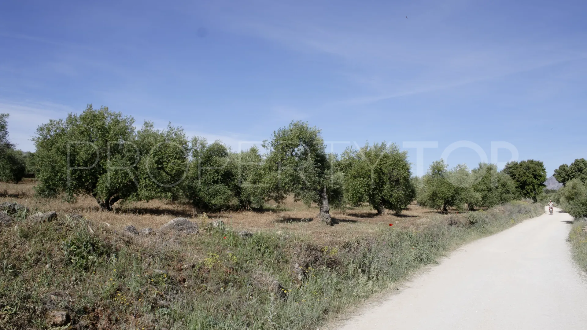 For sale Ronda finca