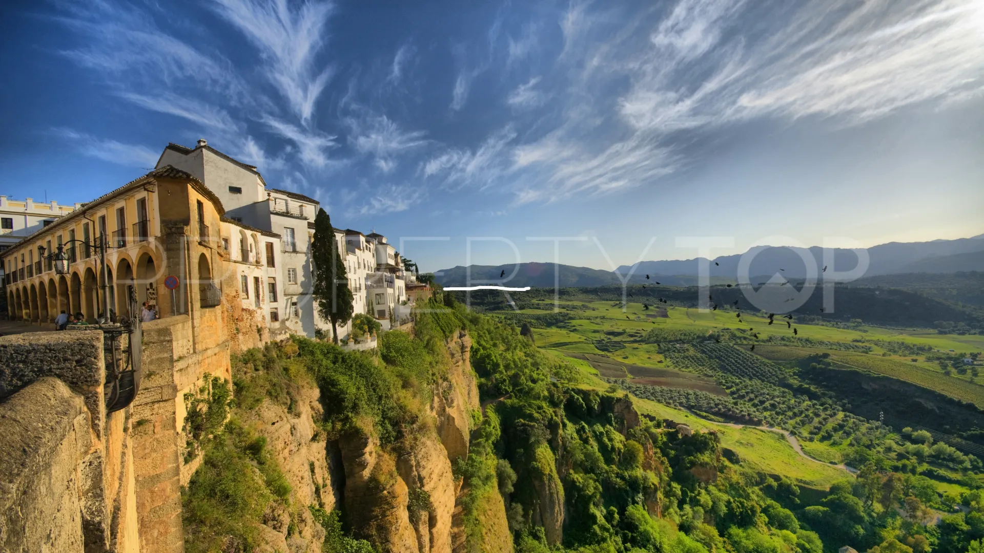 For sale Ronda finca