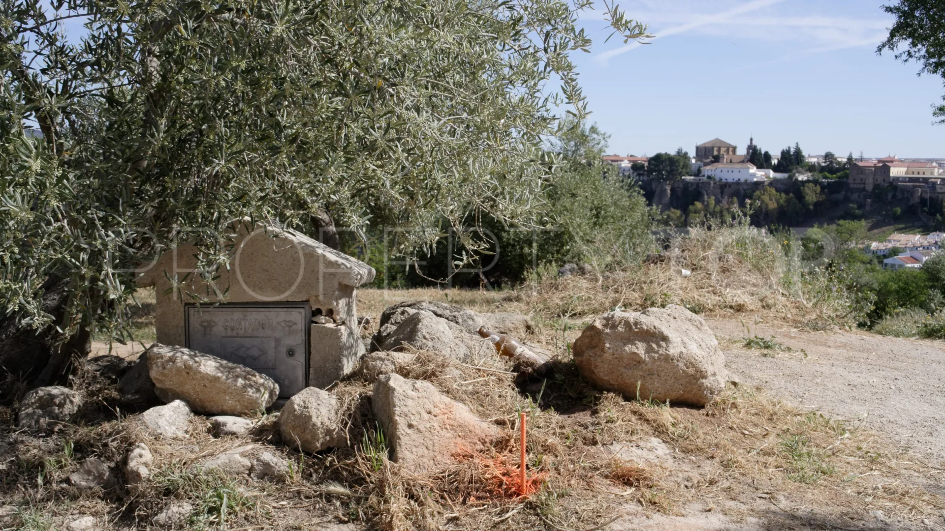 For sale Ronda finca