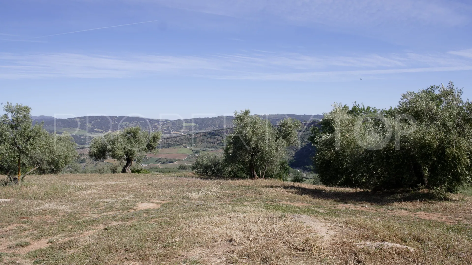 For sale Ronda finca