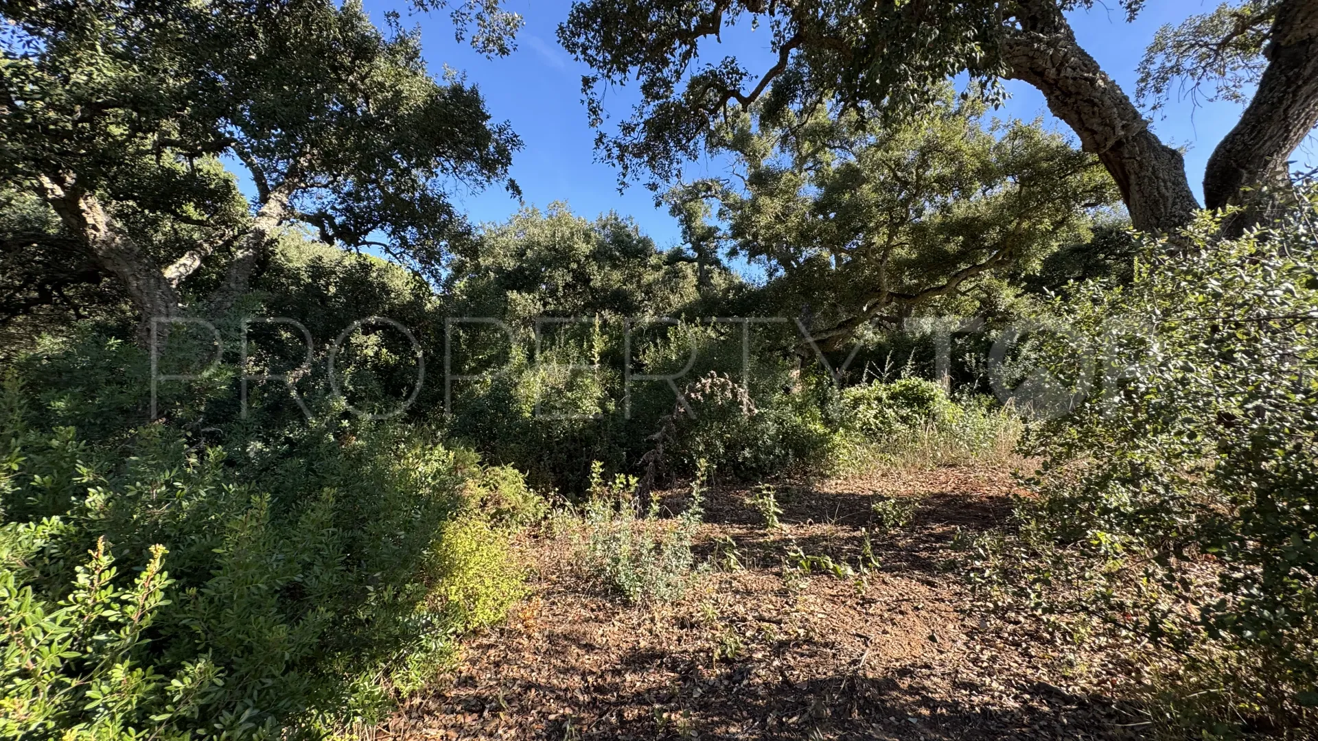 Plot for sale in Los Altos de Valderrama
