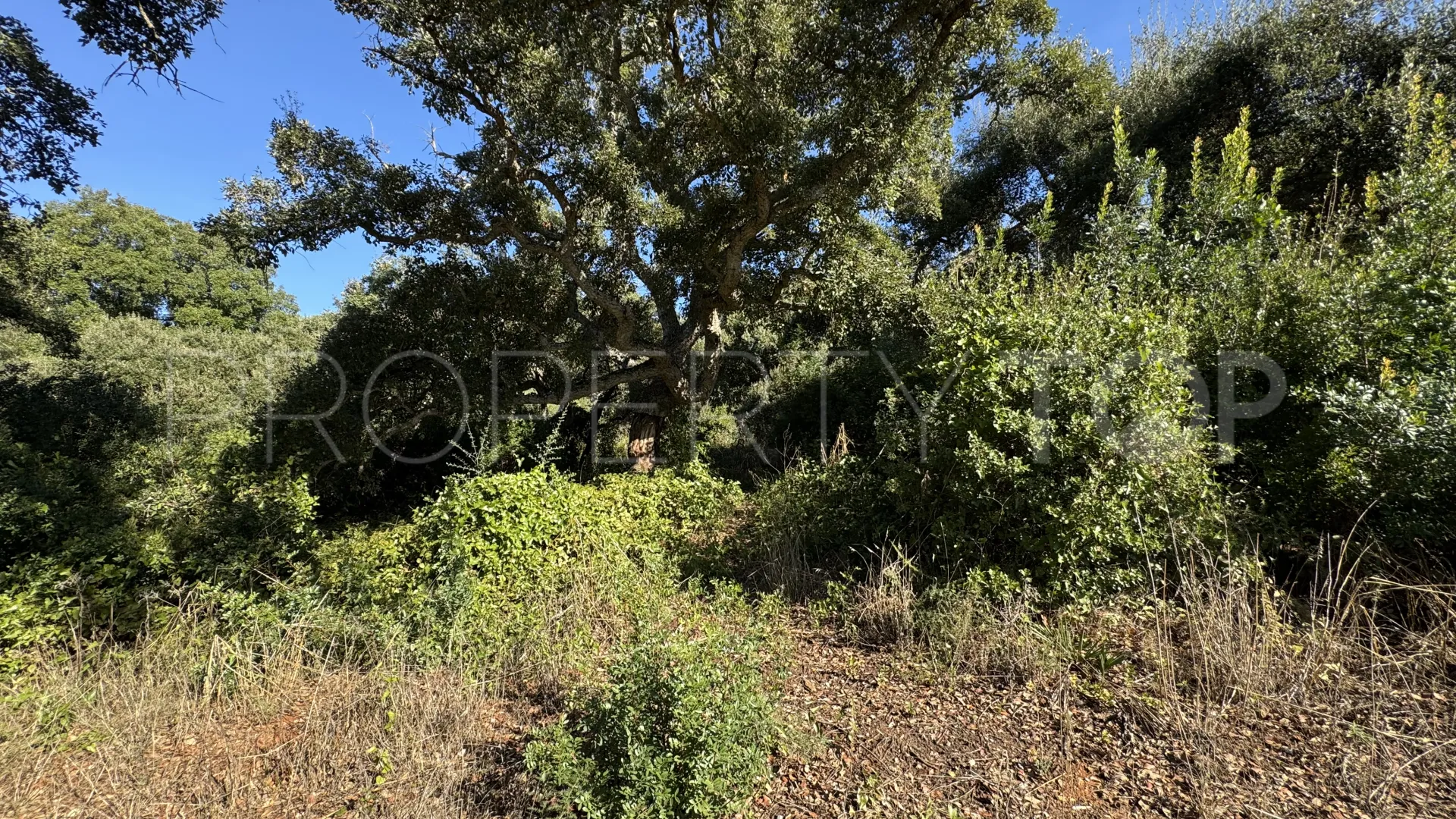 Plot for sale in Los Altos de Valderrama