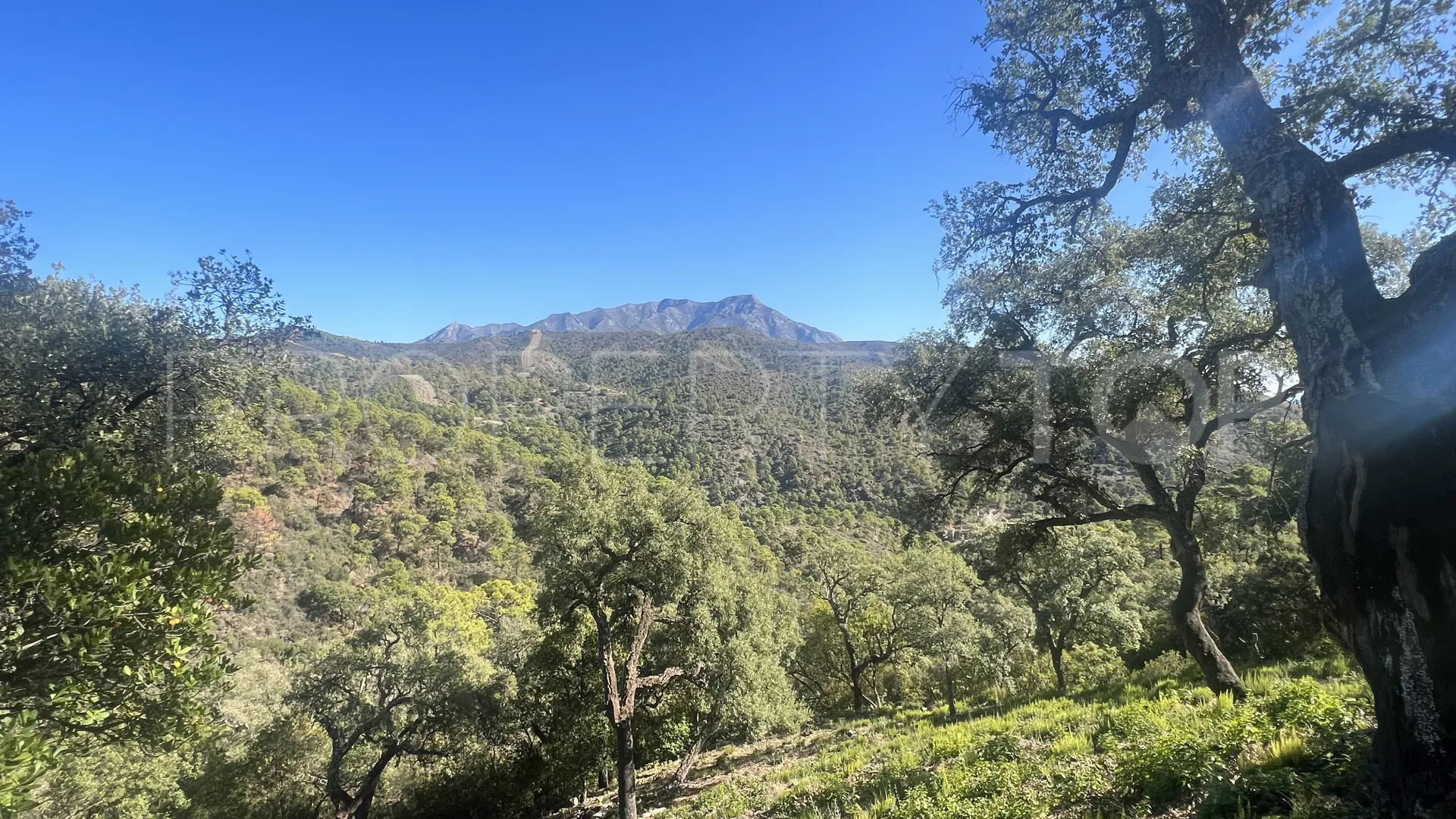 For sale El Madroñal plot