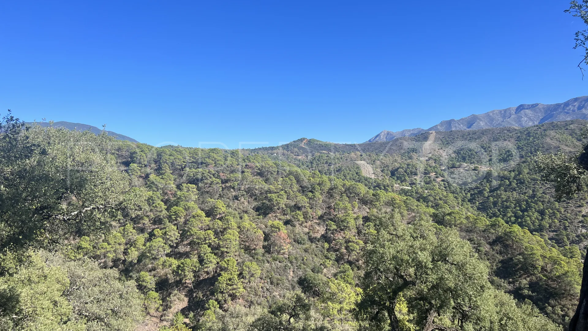 For sale El Madroñal plot