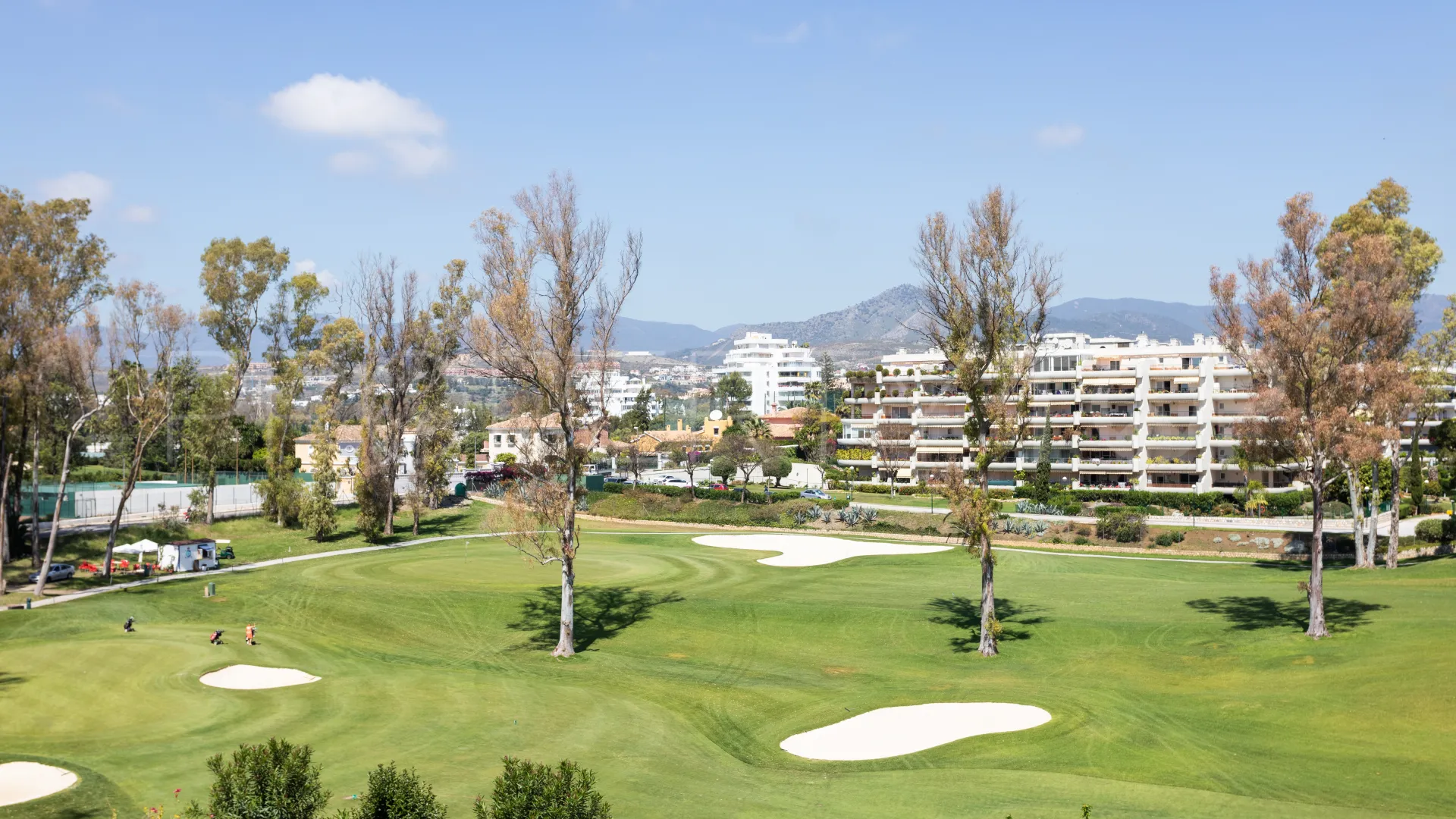 Buy Guadalmina Alta apartment