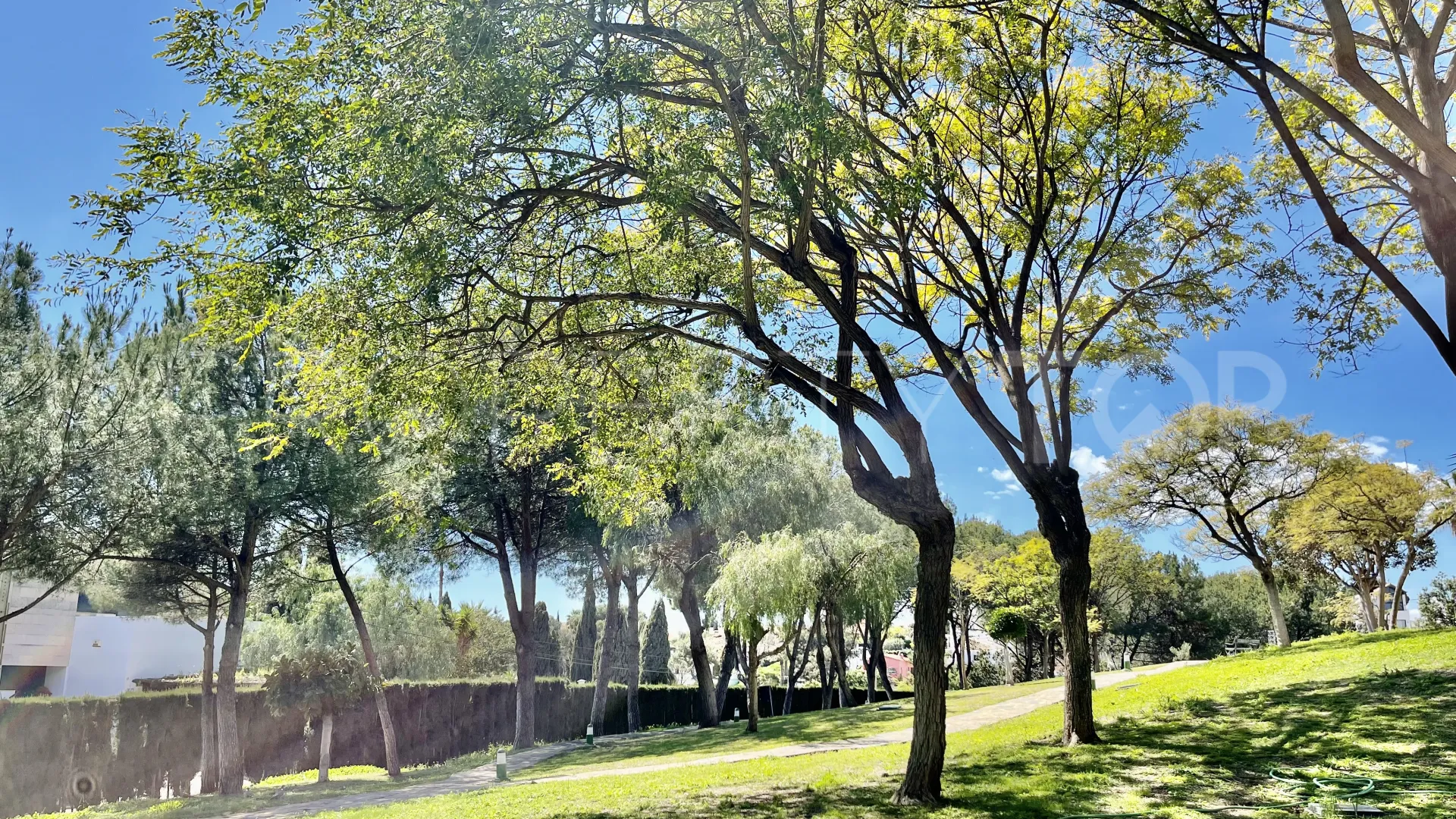 For sale apartment in Andalucia Alta