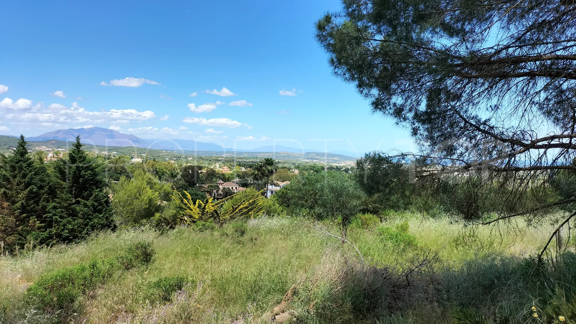 Comprar parcela en Sotogrande Alto