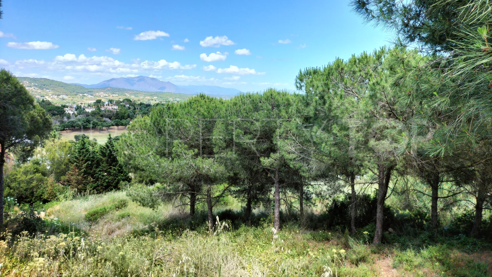 Comprar parcela en Sotogrande Alto