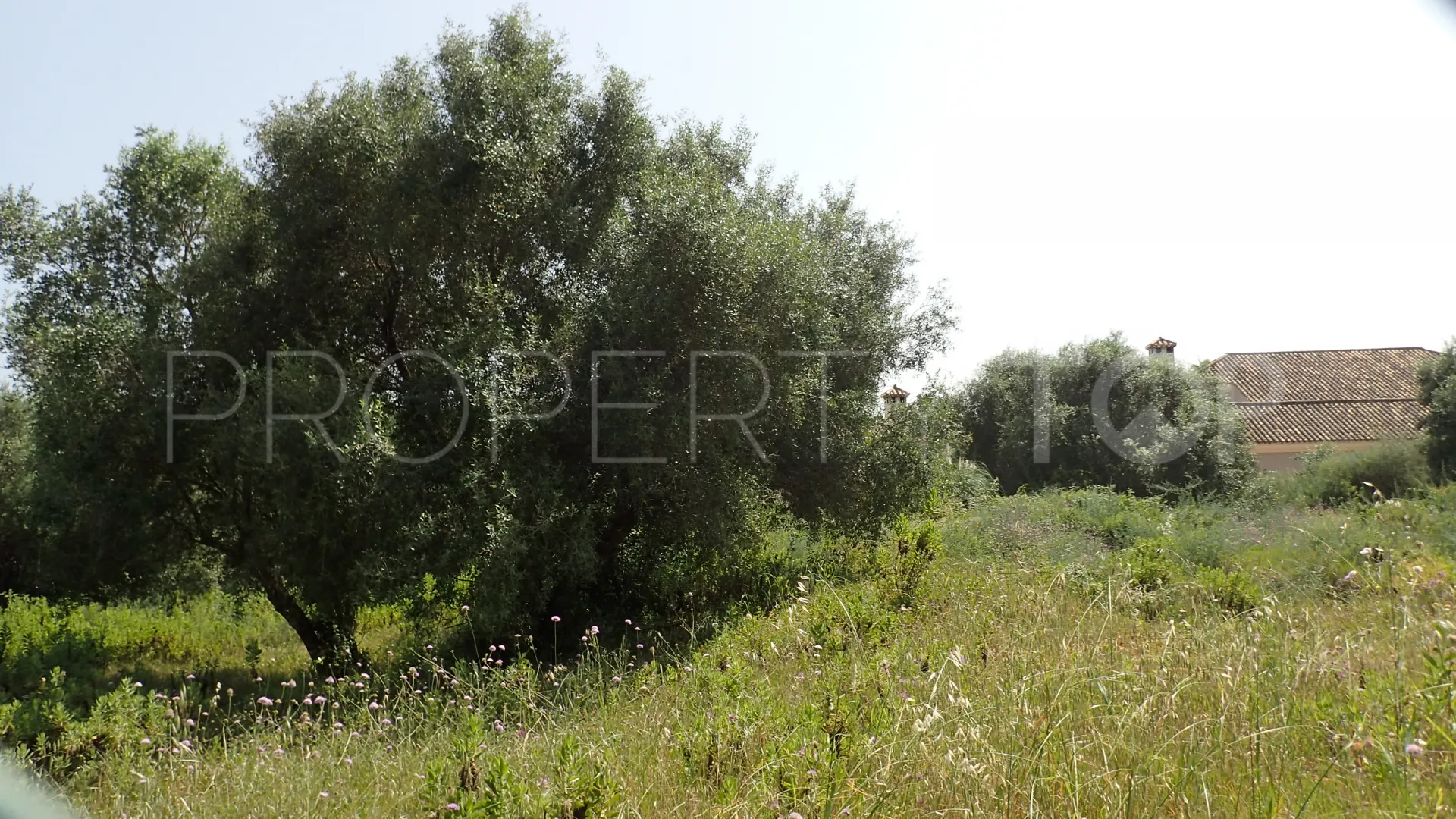 For sale plot in Sotogrande Alto