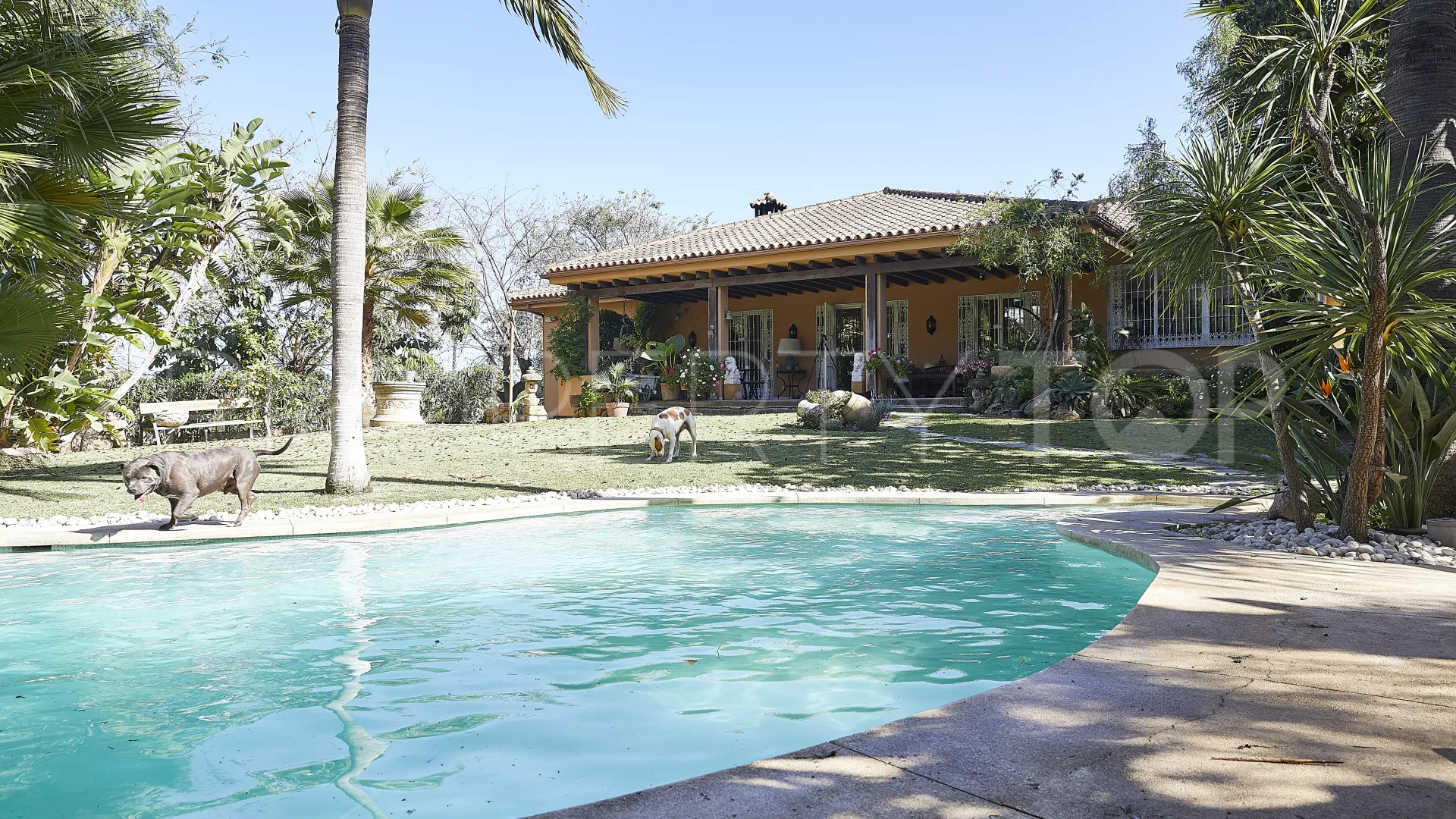 For sale villa in Atalaya de Rio Verde with 4 bedrooms