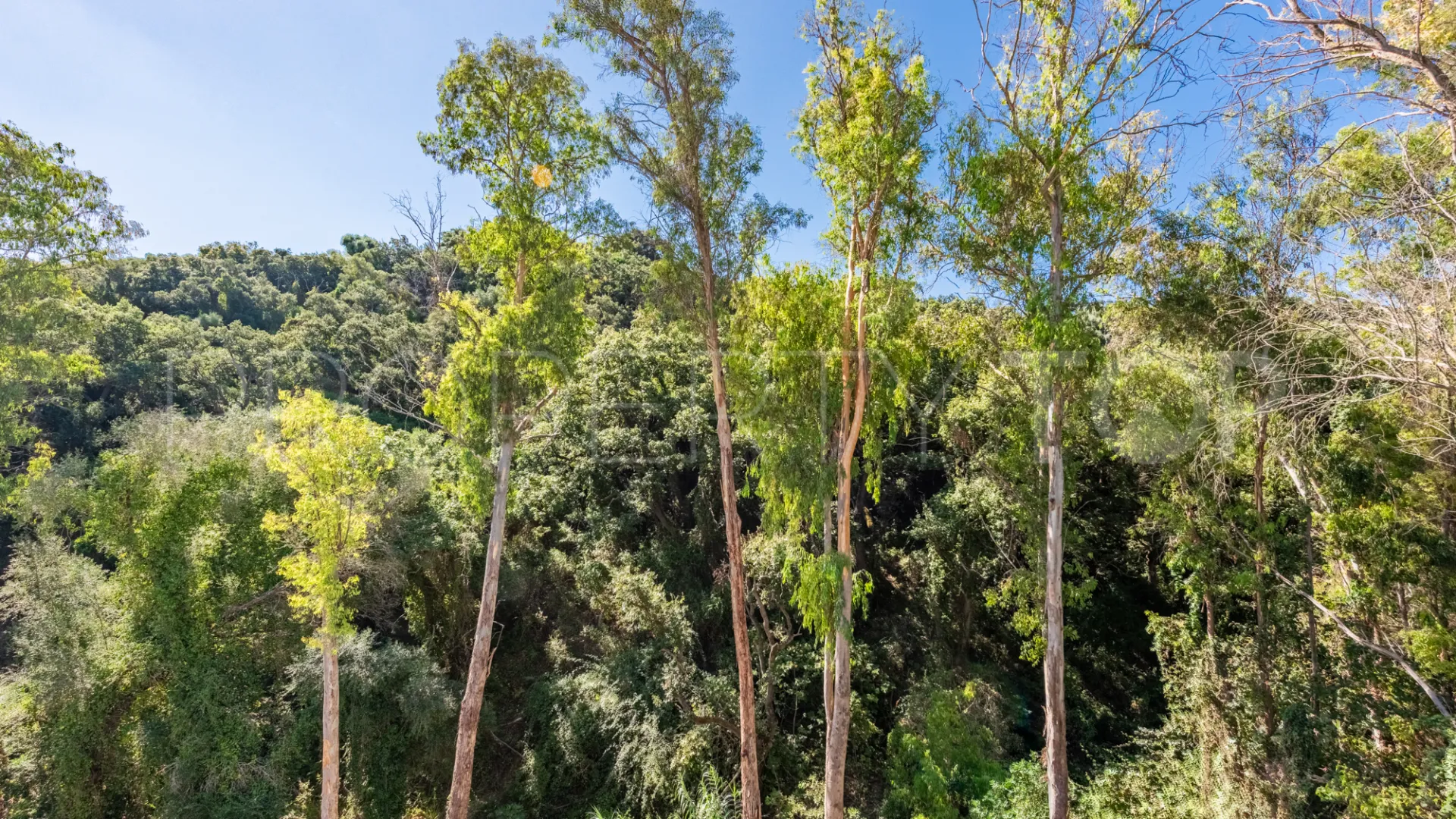 Zona F, villa en venta de 5 dormitorios
