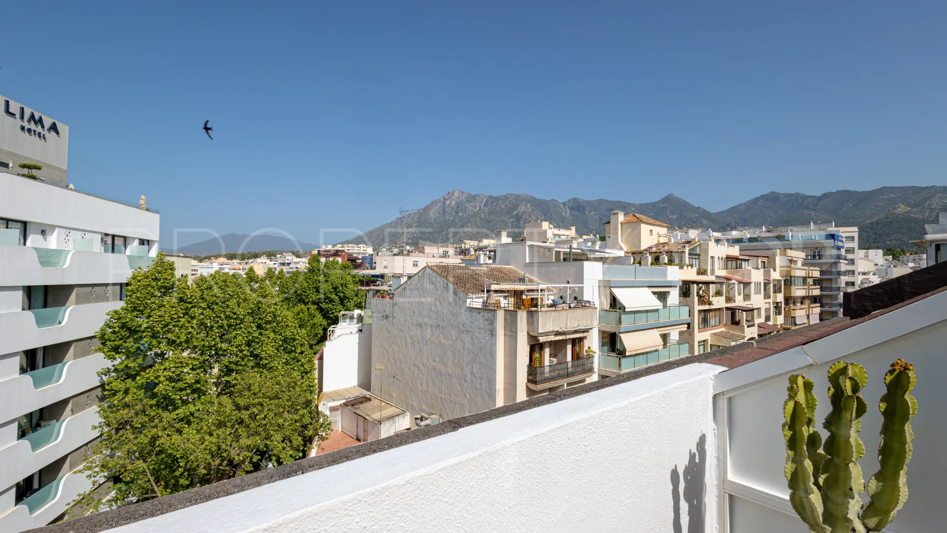 Atico duplex de 3 dormitorios en venta en Marbella Centro