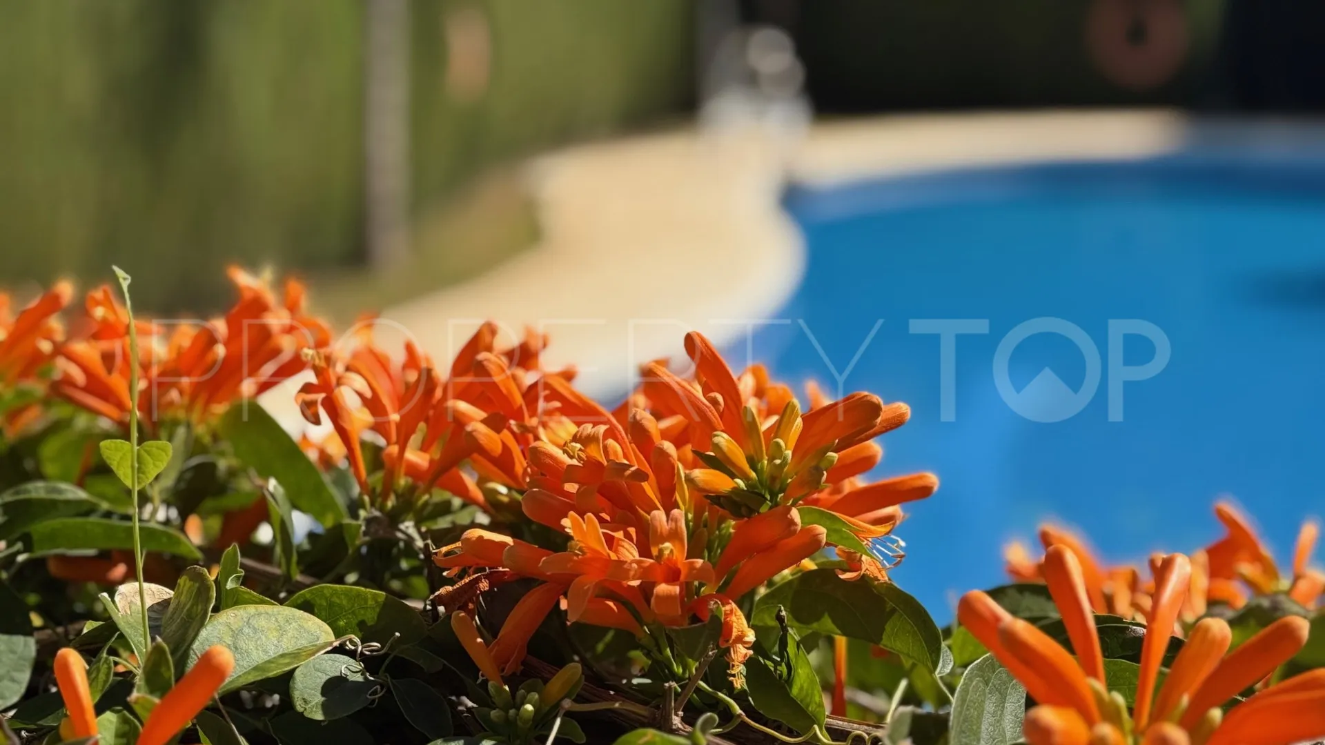 Buy town house in Estepona