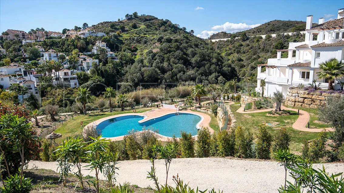 Buy ground floor apartment in Nueva Andalucia