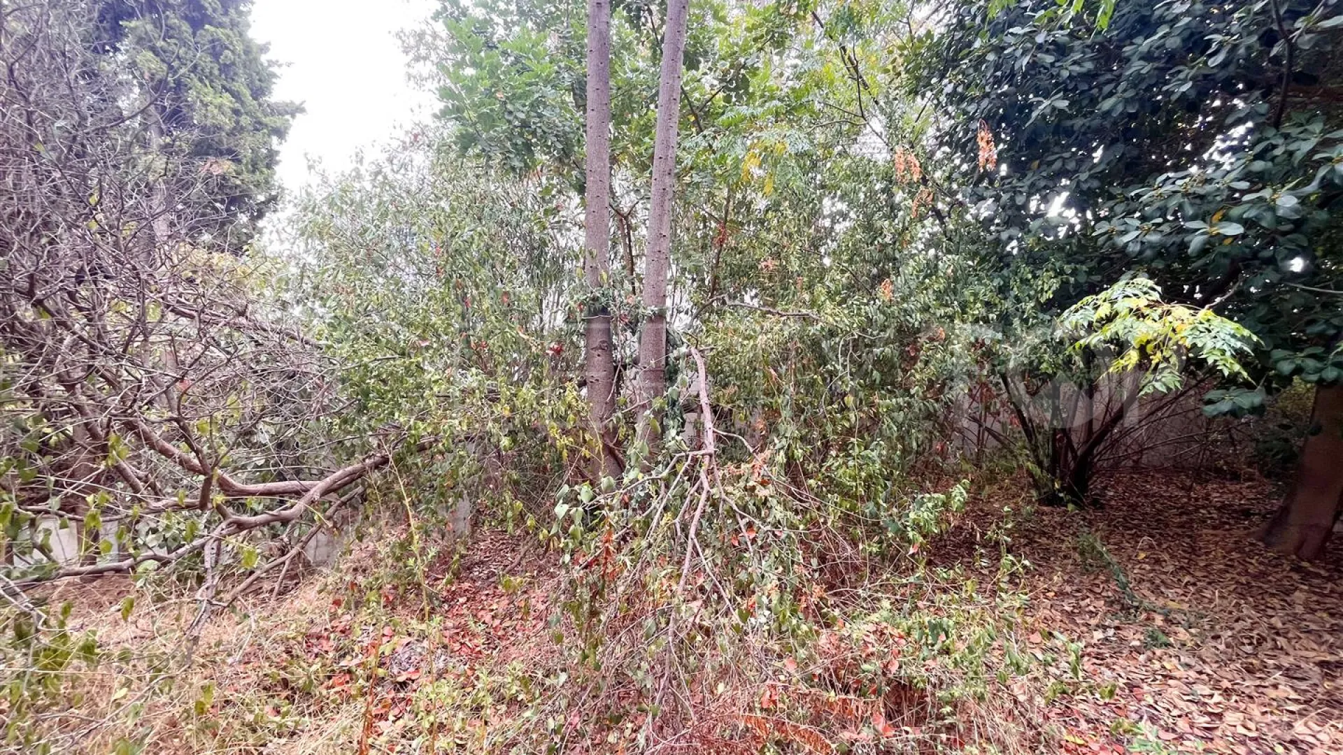 Villa de 6 dormitorios en venta en Las Cancelas