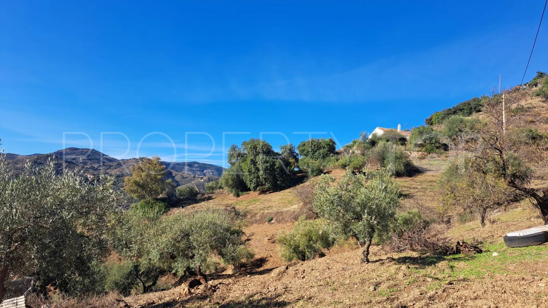 For sale finca in Colmenar with 3 bedrooms
