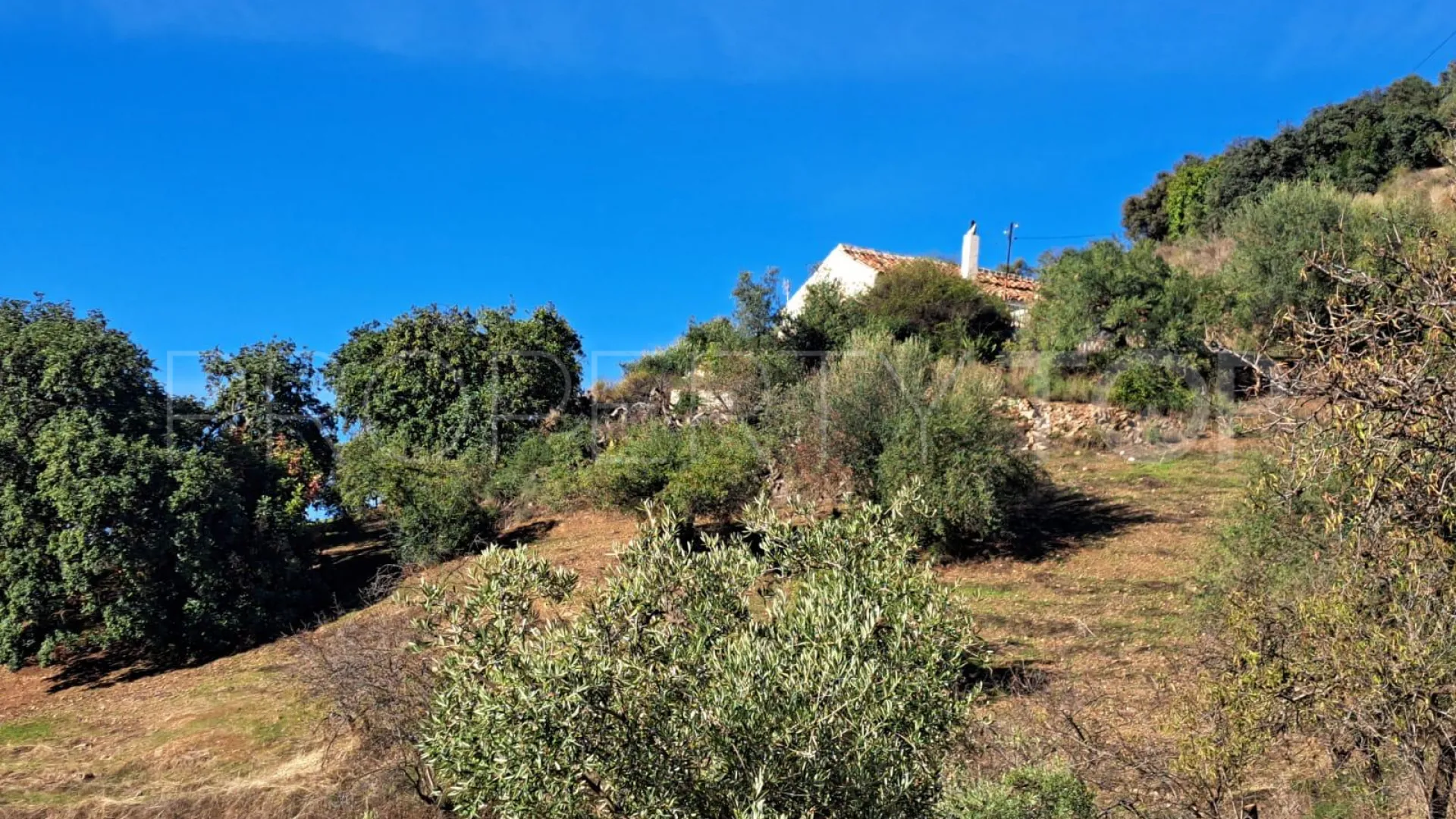 For sale finca in Colmenar with 3 bedrooms