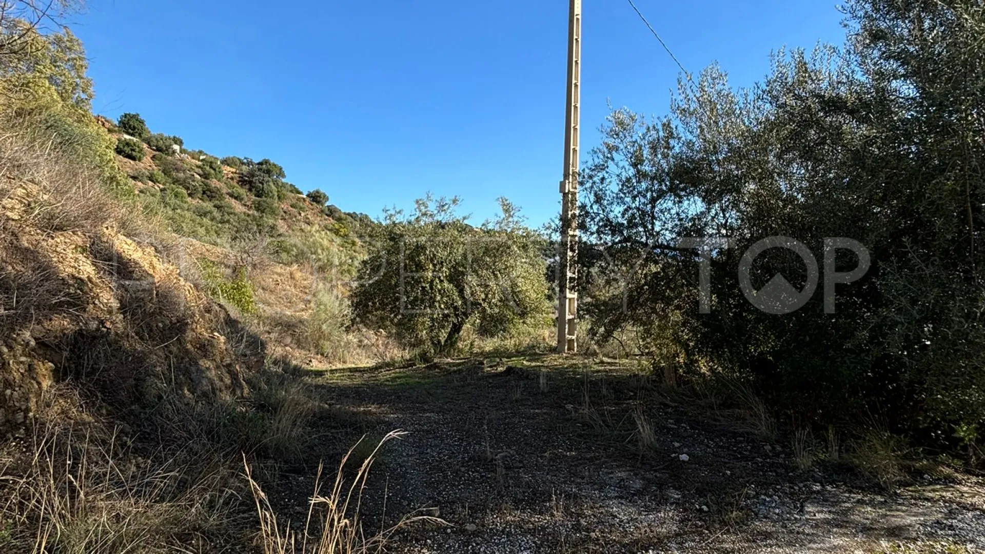 For sale finca in Colmenar with 3 bedrooms