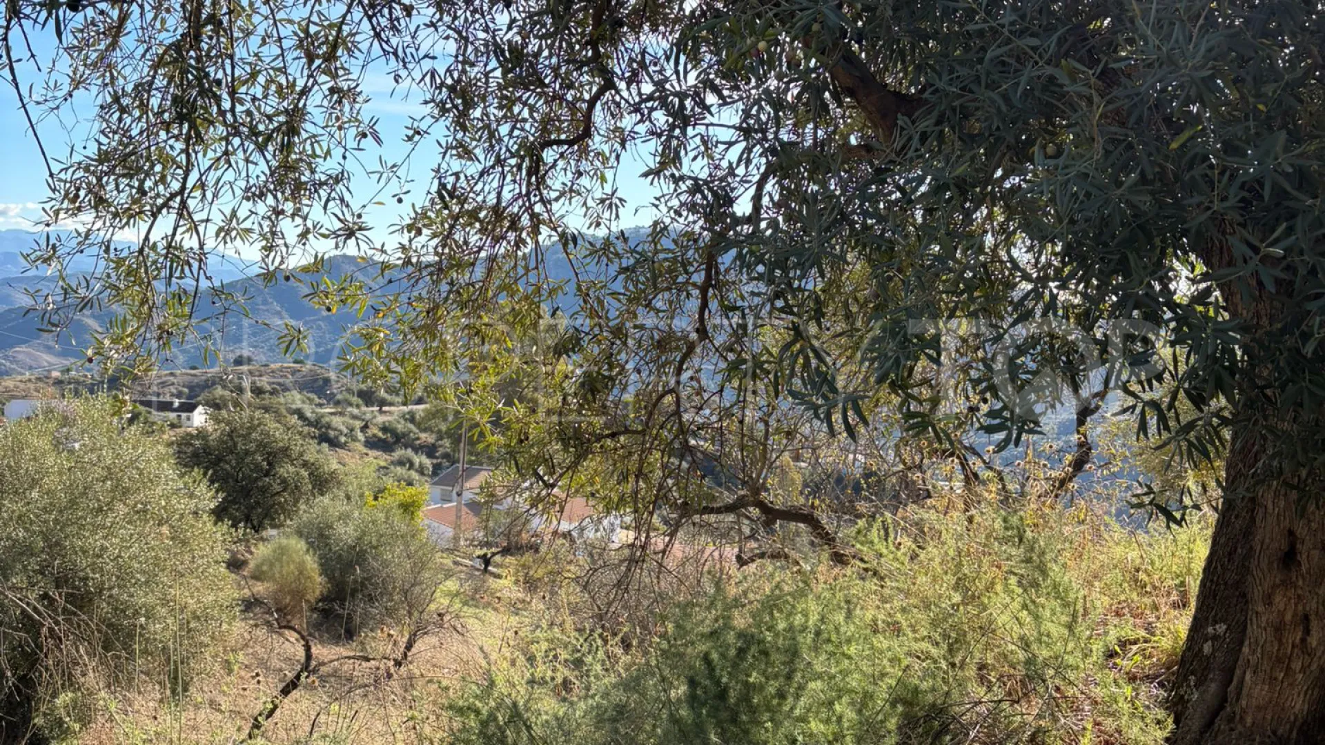 For sale finca in Colmenar with 3 bedrooms