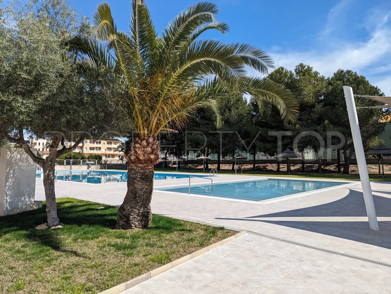 Algorfa, adosado a la venta