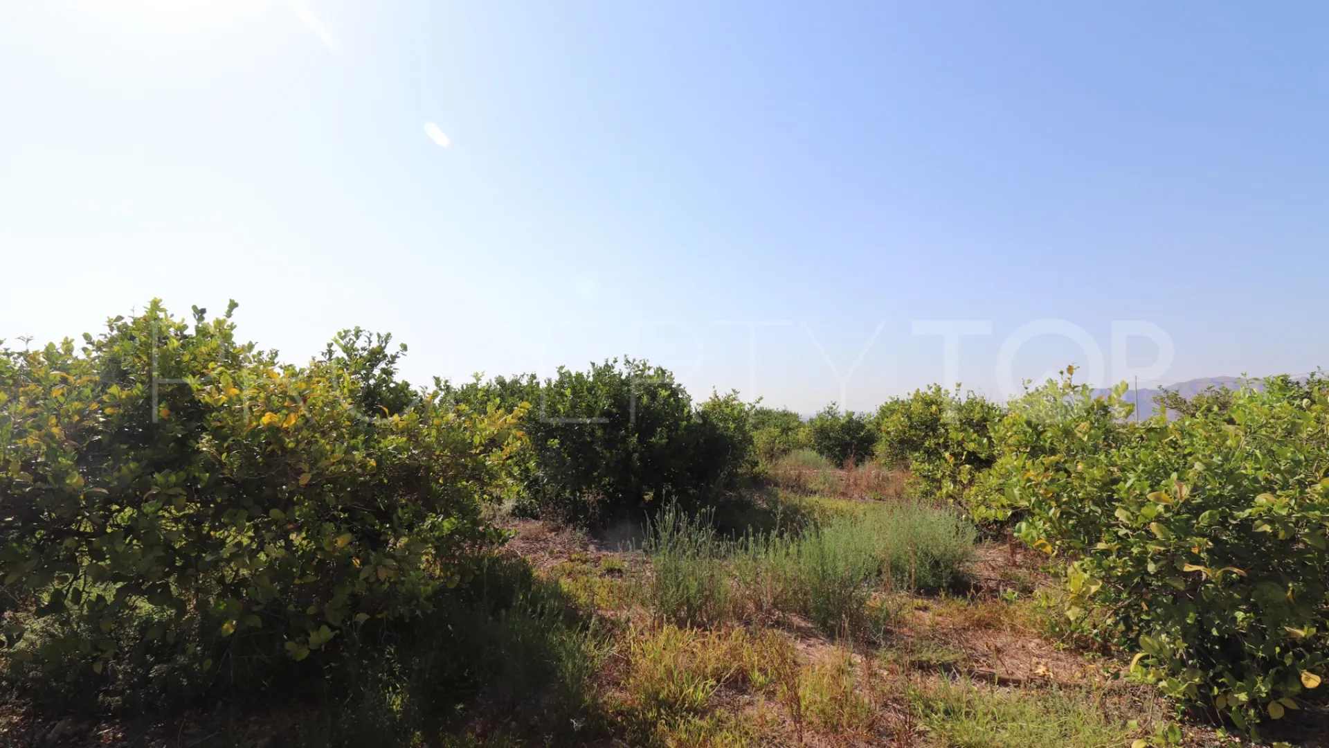 Villa en venta en Albatera con 2 dormitorios