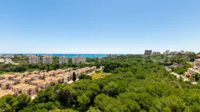 Villamartin, apartamento en venta de 2 dormitorios
