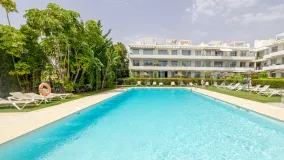 Las Jacarandas, apartamento de 3 dormitorios en venta