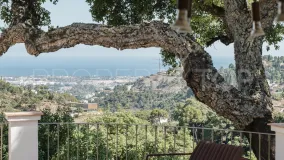 For sale El Madroñal house