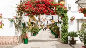 For sale Estepona chalet