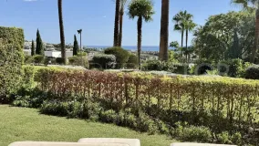 Apartamento planta baja en venta en Royal Flamingos