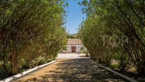 Finca for sale in Cancelada