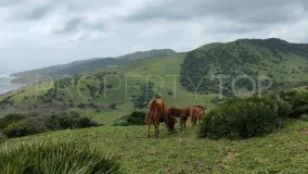 Comprar finca en Tarifa