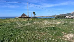 Bolonia plot for sale