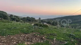 Plot in Tarifa for sale