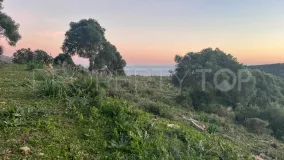 Plot in Tarifa for sale