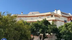 Buy Estepona penthouse with 4 bedrooms