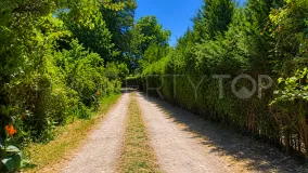 Finca with 4 bedrooms for sale in Jimena de La Frontera