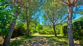 Finca with 4 bedrooms for sale in Jimena de La Frontera