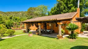 Finca with 4 bedrooms for sale in Jimena de La Frontera