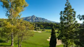 5 bedrooms Nueva Andalucia villa for sale