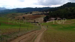 Ardales, parcela a la venta