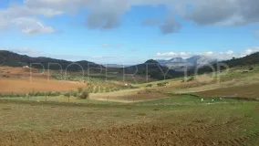 Ardales, parcela a la venta
