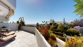 Apartment for sale in Guadalmina Baja