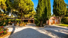 Villa en venta con 5 dormitorios en Guadalmina Baja