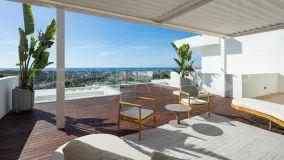 Buy 6 bedrooms villa in Los Flamingos