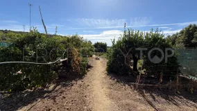 For sale plot in El Velerin