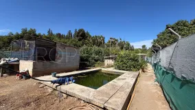 For sale plot in El Velerin