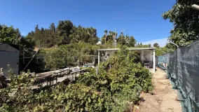 For sale plot in El Velerin