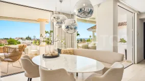 3 bedrooms duplex penthouse for sale in Monte Paraiso